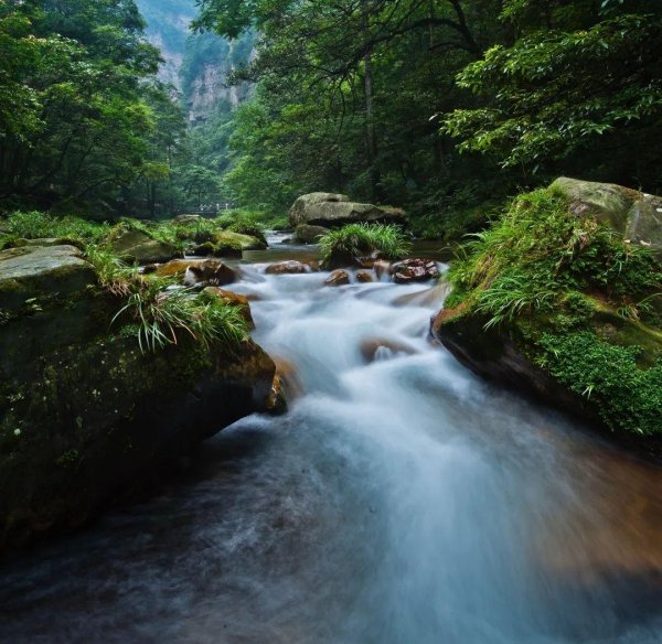 牛盈服务中心 张家界金鞭溪下游溪水浑浊！景区称系因连续降雨浮土淤泥流入