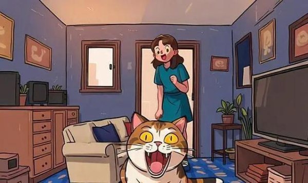 启灯网 猫咪抓人你还宠？3个坏习惯不改，毁猫又伤心