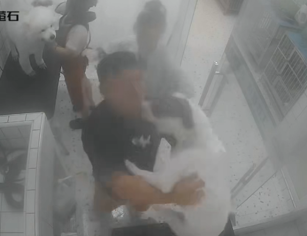 鑫赢智投 宠物诊所老板给土狗洗澡被咬伤，女主人却夸狗狗厉害